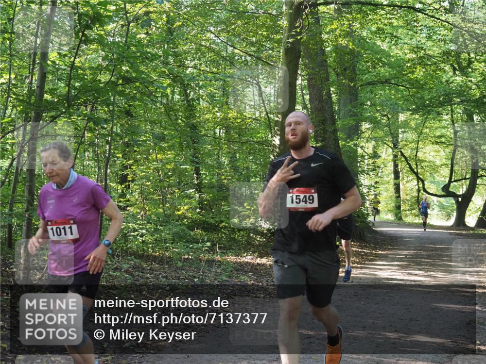 22.09.2024 - 32. Volkslauf durch das schöne Alstertal Miley Keyser http://msf.ph/oto/7137377 22.09.2024 10:21:02 Laufen 1549, 1011 meine-sportfotos.de