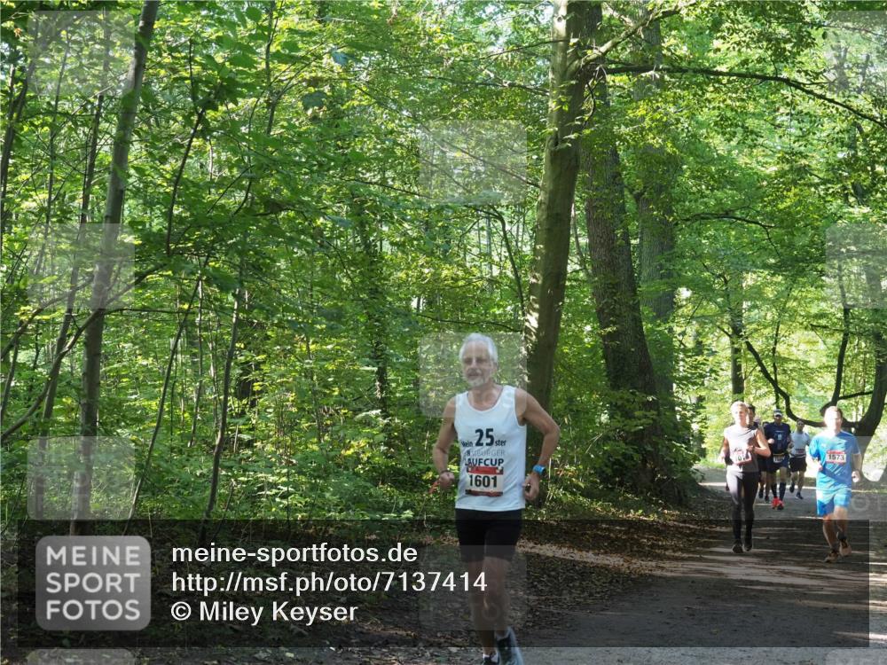 22.09.2024 - 32. Volkslauf durch das schöne Alstertal Miley Keyser http://msf.ph/oto/7137414 22.09.2024 10:20:51 Laufen 25, 1601, 1540, 1573 meine-sportfotos.de