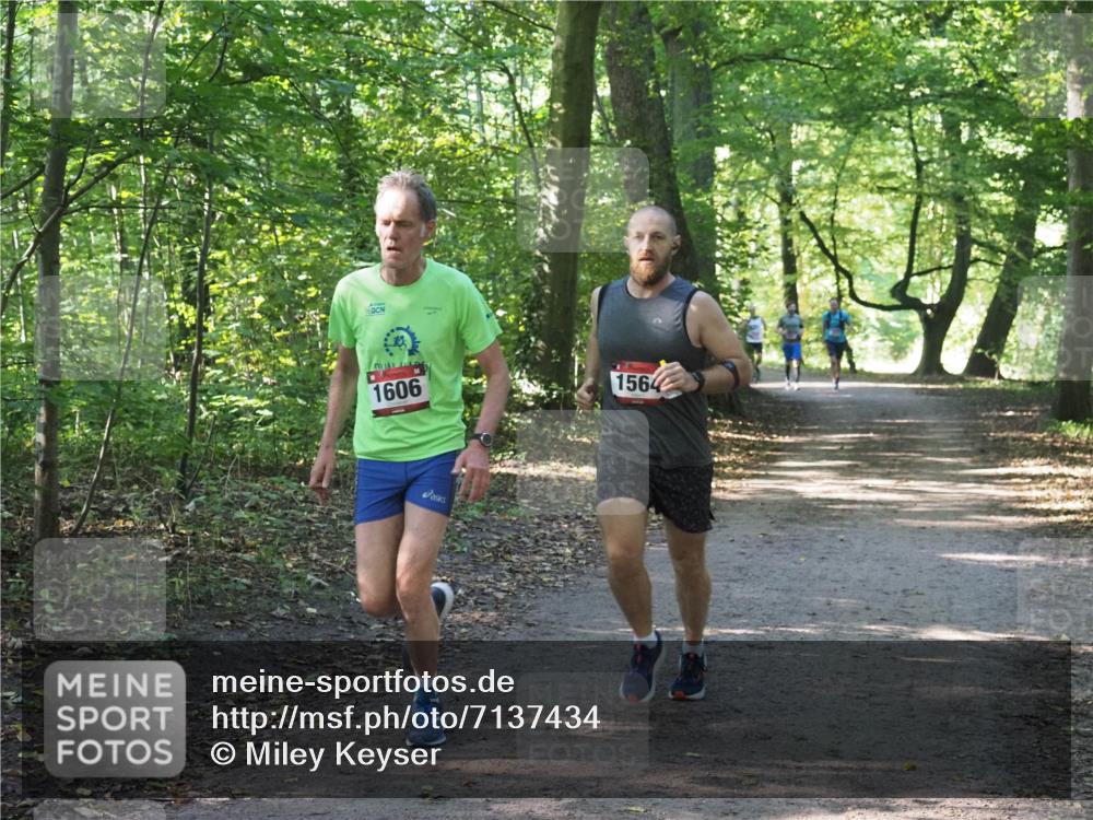 22.09.2024 - 32. Volkslauf durch das schöne Alstertal Miley Keyser http://msf.ph/oto/7137434 22.09.2024 10:20:39 Laufen 1606, 1564 meine-sportfotos.de