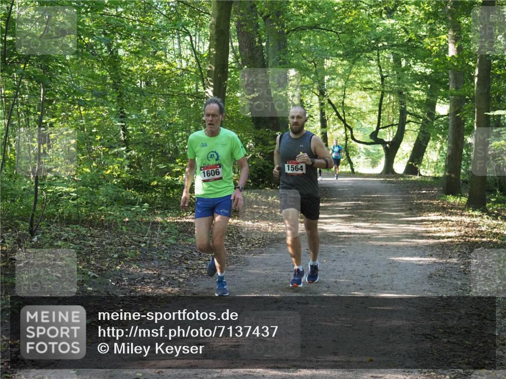 22.09.2024 - 32. Volkslauf durch das schöne Alstertal Miley Keyser http://msf.ph/oto/7137437 22.09.2024 10:20:39 Laufen 1606, 1564 meine-sportfotos.de