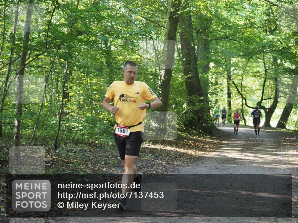 22.09.2024 - 32. Volkslauf durch das schöne Alstertal Miley Keyser http://msf.ph/oto/7137453 22.09.2024 10:20:27 Laufen 1591 meine-sportfotos.de