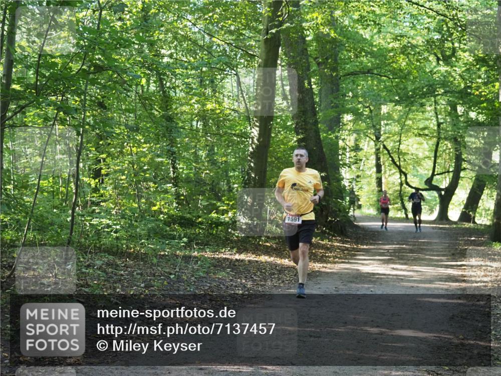 22.09.2024 - 32. Volkslauf durch das schöne Alstertal Miley Keyser http://msf.ph/oto/7137457 22.09.2024 10:20:26 Laufen 1591 meine-sportfotos.de
