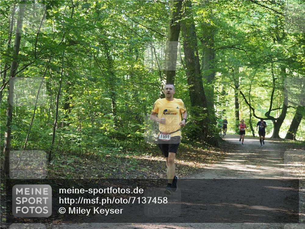22.09.2024 - 32. Volkslauf durch das schöne Alstertal Miley Keyser http://msf.ph/oto/7137458 22.09.2024 10:20:26 Laufen 1591 meine-sportfotos.de