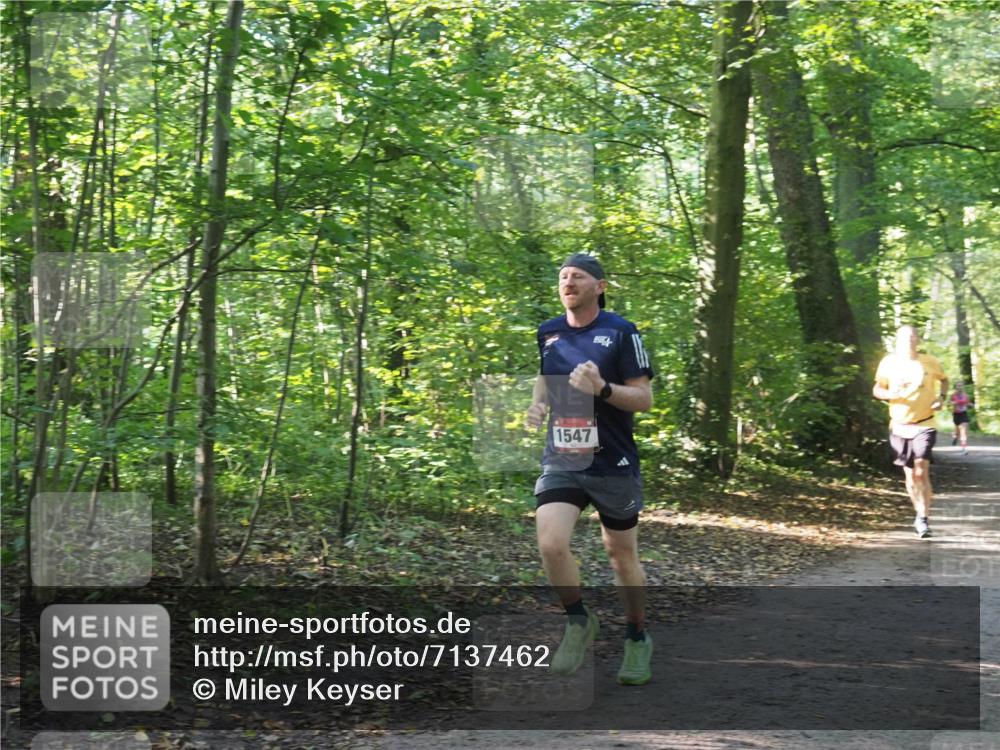 22.09.2024 - 32. Volkslauf durch das schöne Alstertal Miley Keyser http://msf.ph/oto/7137462 22.09.2024 10:20:24 Laufen 1547 meine-sportfotos.de