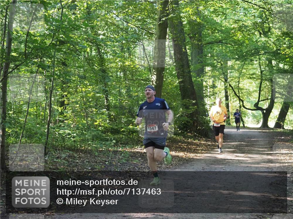 22.09.2024 - 32. Volkslauf durch das schöne Alstertal Miley Keyser http://msf.ph/oto/7137463 22.09.2024 10:20:24 Laufen 1547, 1591 meine-sportfotos.de
