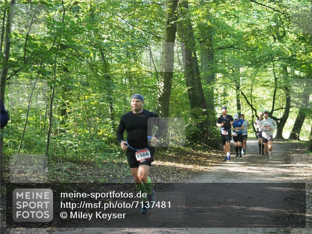 22.09.2024 - 32. Volkslauf durch das schöne Alstertal Miley Keyser http://msf.ph/oto/7137481 22.09.2024 10:20:17 Laufen 1566, 1600 meine-sportfotos.de