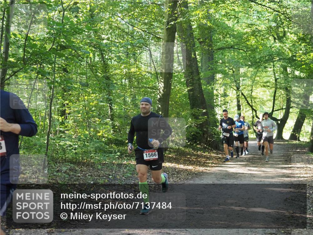 22.09.2024 - 32. Volkslauf durch das schöne Alstertal Miley Keyser http://msf.ph/oto/7137484 22.09.2024 10:20:17 Laufen 1566, 1551, 1600 meine-sportfotos.de