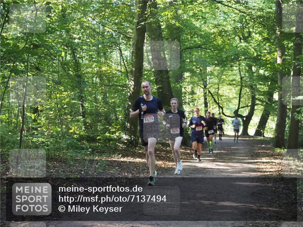 22.09.2024 - 32. Volkslauf durch das schöne Alstertal Miley Keyser http://msf.ph/oto/7137494 22.09.2024 10:20:13 Laufen 1579, 1575, 1578, 1566, 1500 meine-sportfotos.de