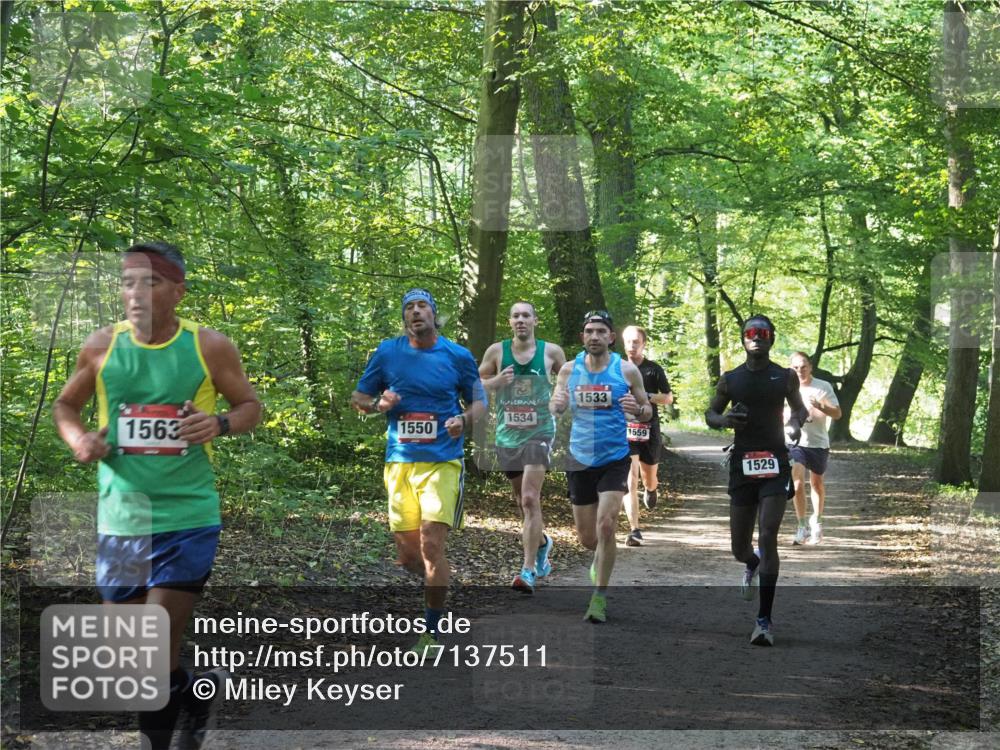 22.09.2024 - 32. Volkslauf durch das schöne Alstertal Miley Keyser http://msf.ph/oto/7137511 22.09.2024 10:19:58 Laufen 1563, 1550, 1534, 1533, 1559, 1529 meine-sportfotos.de