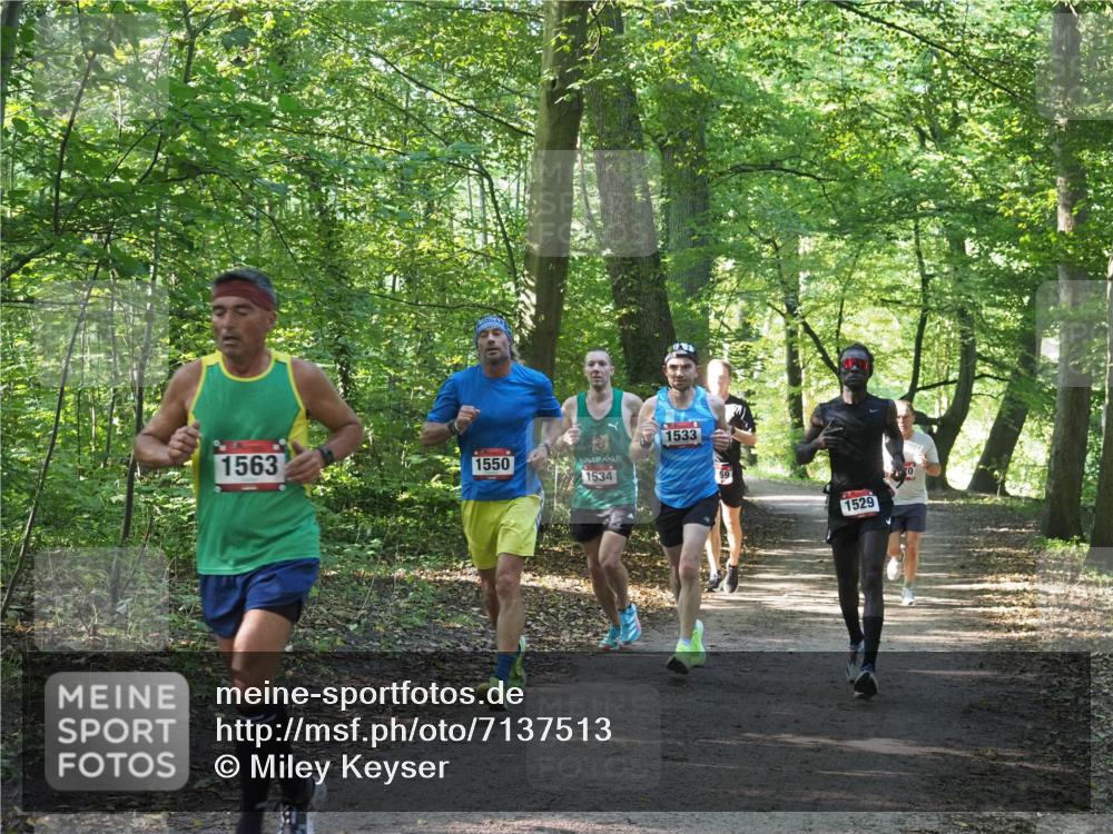 22.09.2024 - 32. Volkslauf durch das schöne Alstertal Miley Keyser http://msf.ph/oto/7137513 22.09.2024 10:19:57 Laufen 1563, 1550, 1534, 1533, 59, 1529 meine-sportfotos.de