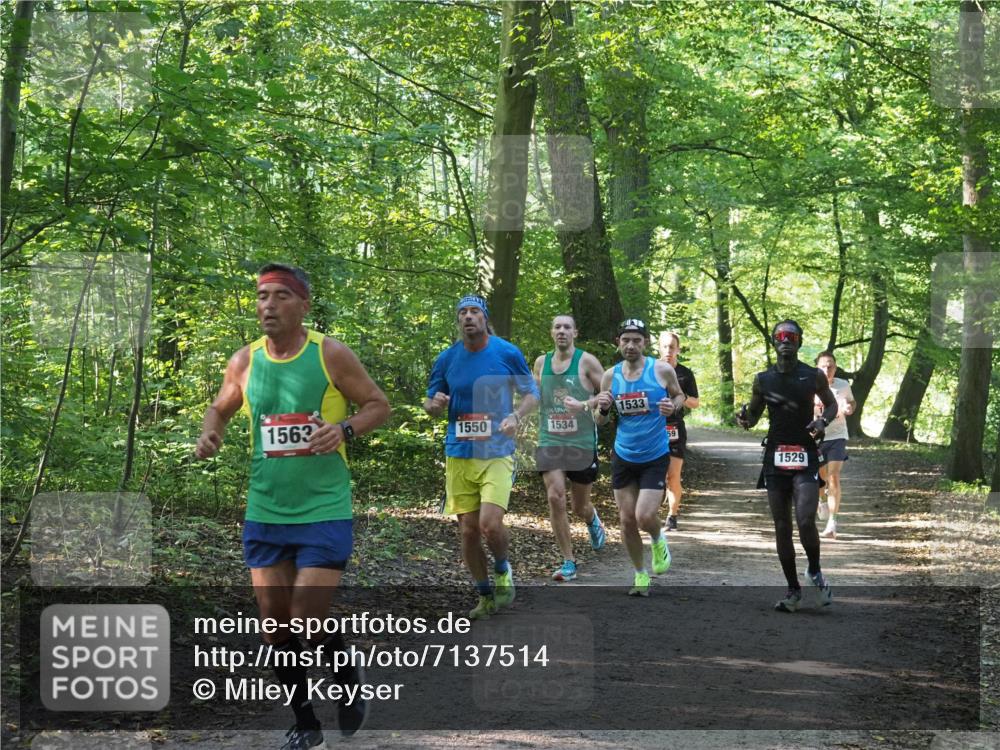 22.09.2024 - 32. Volkslauf durch das schöne Alstertal Miley Keyser http://msf.ph/oto/7137514 22.09.2024 10:19:57 Laufen 1563, 1550, 1534, 1533, 59, 1529 meine-sportfotos.de