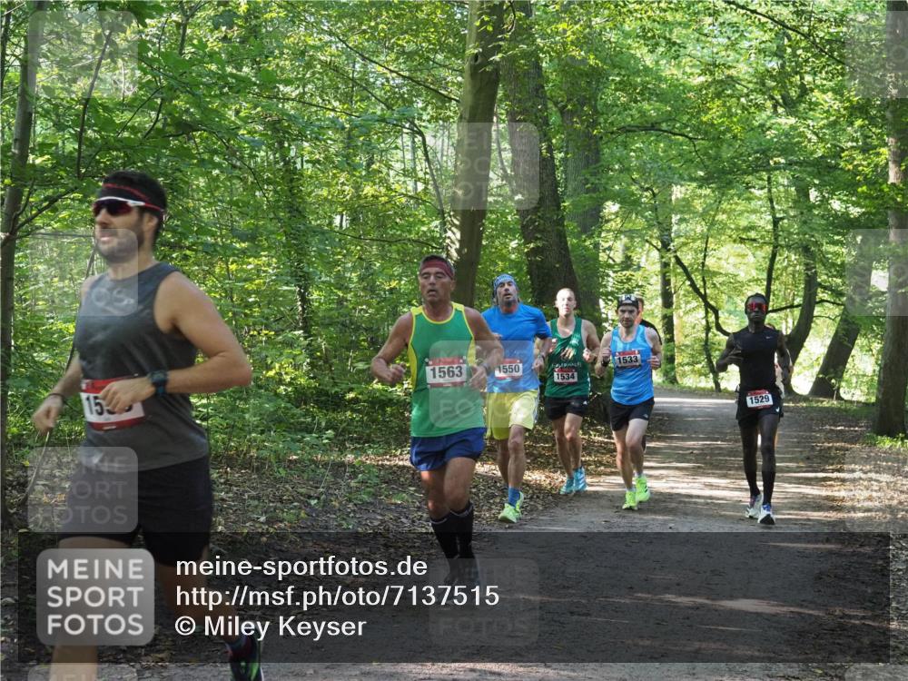 22.09.2024 - 32. Volkslauf durch das schöne Alstertal Miley Keyser http://msf.ph/oto/7137515 22.09.2024 10:19:57 Laufen 1533, 1563, 1550, 1534, 1529 meine-sportfotos.de