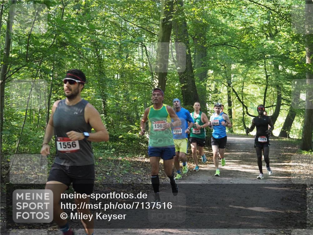 22.09.2024 - 32. Volkslauf durch das schöne Alstertal Miley Keyser http://msf.ph/oto/7137516 22.09.2024 10:19:57 Laufen 1556, 156, 1550, 1534, 1533, 1529 meine-sportfotos.de