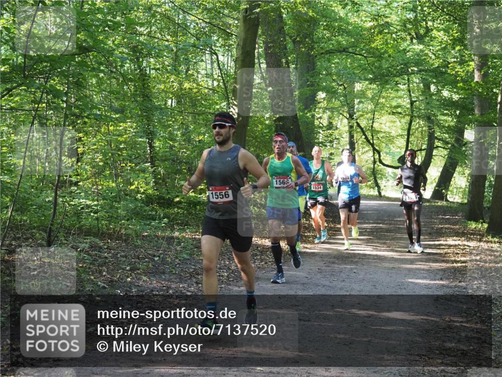 22.09.2024 - 32. Volkslauf durch das schöne Alstertal Miley Keyser http://msf.ph/oto/7137520 22.09.2024 10:19:56 Laufen 1556, 156, 1534, 1533 meine-sportfotos.de