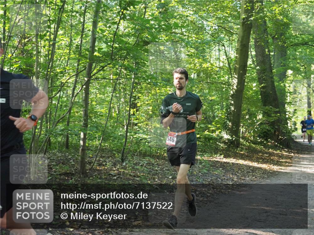22.09.2024 - 32. Volkslauf durch das schöne Alstertal Miley Keyser http://msf.ph/oto/7137522 22.09.2024 10:19:50 Laufen 546 meine-sportfotos.de