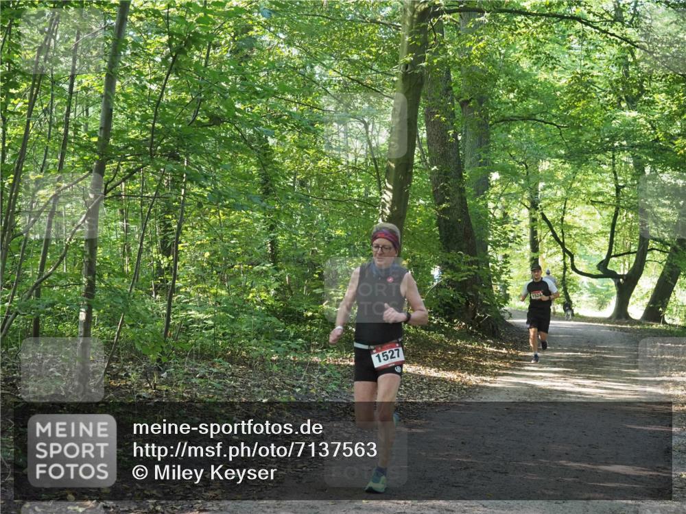 22.09.2024 - 32. Volkslauf durch das schöne Alstertal Miley Keyser http://msf.ph/oto/7137563 22.09.2024 10:19:22 Laufen 1527, 1524 meine-sportfotos.de