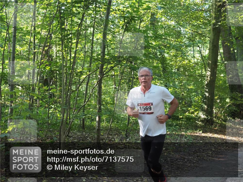 22.09.2024 - 32. Volkslauf durch das schöne Alstertal Miley Keyser http://msf.ph/oto/7137575 22.09.2024 10:19:16 Laufen 1569 meine-sportfotos.de