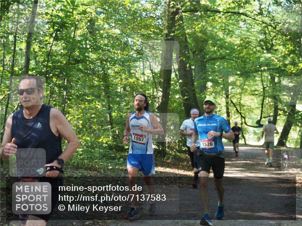 22.09.2024 - 32. Volkslauf durch das schöne Alstertal Miley Keyser http://msf.ph/oto/7137583 22.09.2024 10:19:14 Laufen 1552, 4, 1557, 1526 meine-sportfotos.de