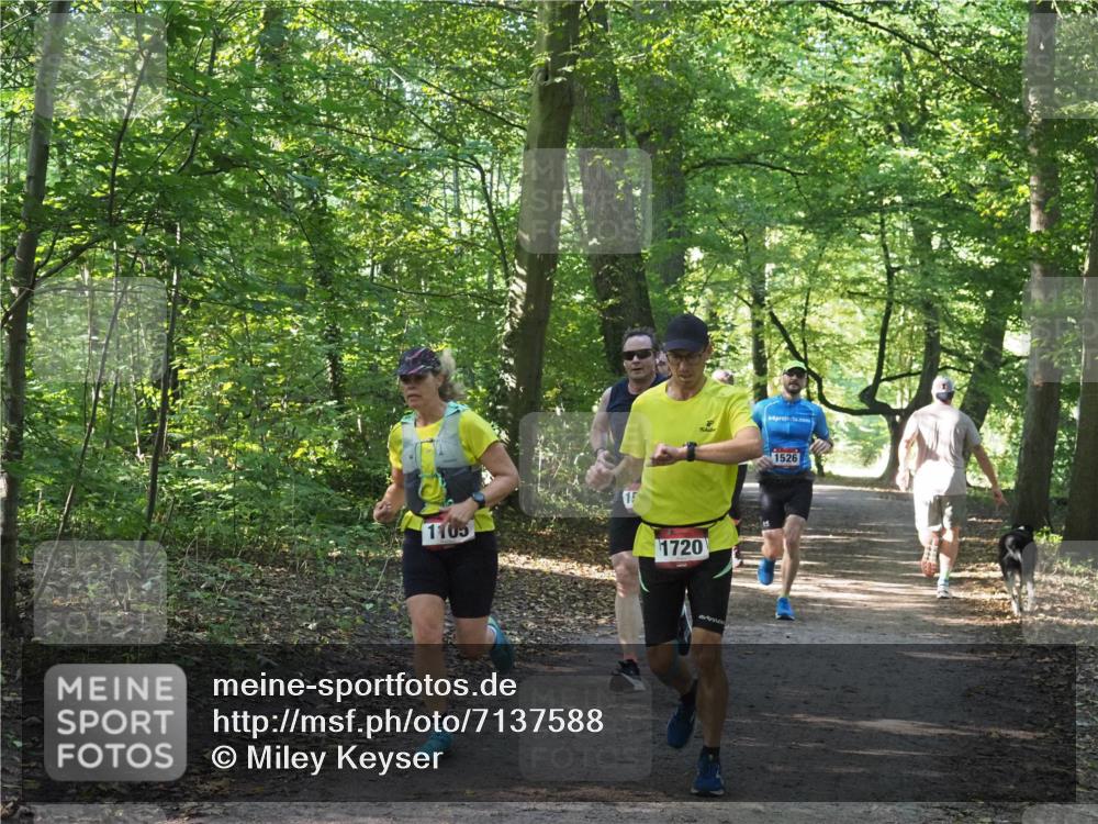 22.09.2024 - 32. Volkslauf durch das schöne Alstertal Miley Keyser http://msf.ph/oto/7137588 22.09.2024 10:19:12 Laufen 1105, 1720, 4, 1526 meine-sportfotos.de