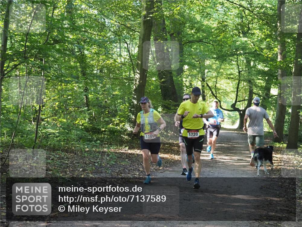 22.09.2024 - 32. Volkslauf durch das schöne Alstertal Miley Keyser http://msf.ph/oto/7137589 22.09.2024 10:19:12 Laufen 110, 1720, 1526 meine-sportfotos.de