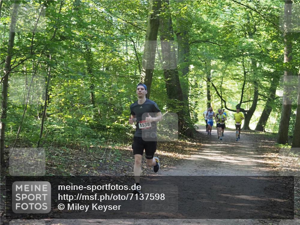 22.09.2024 - 32. Volkslauf durch das schöne Alstertal Miley Keyser http://msf.ph/oto/7137598 22.09.2024 10:19:06 Laufen 1539, 220 meine-sportfotos.de