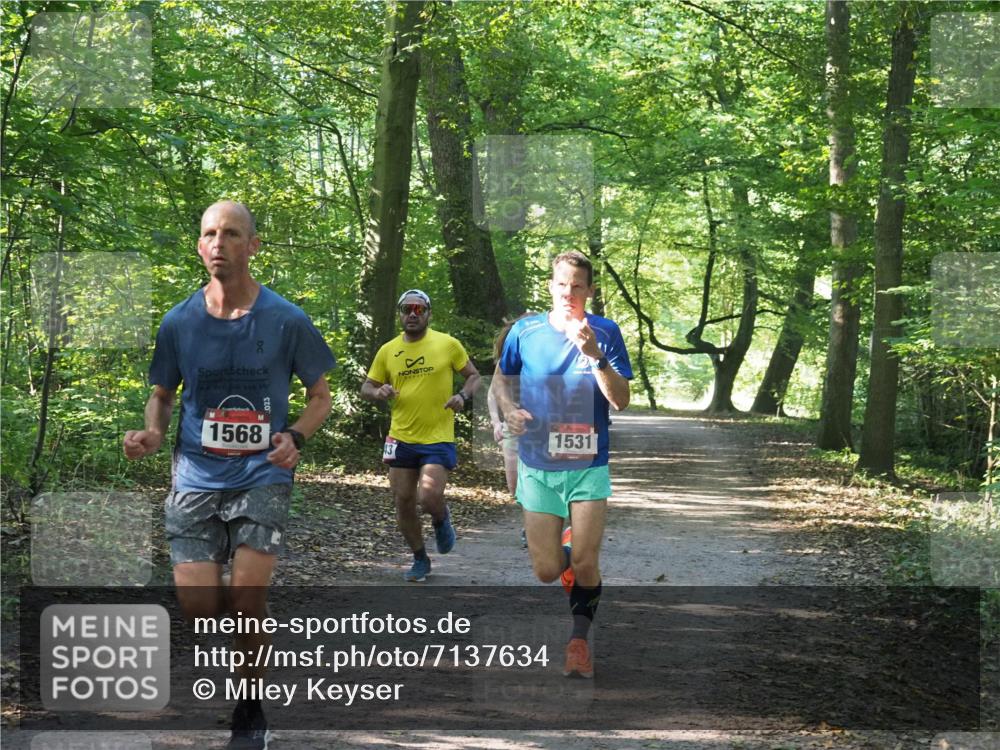 22.09.2024 - 32. Volkslauf durch das schöne Alstertal Miley Keyser http://msf.ph/oto/7137634 22.09.2024 10:18:37 Laufen 1568, 1531 meine-sportfotos.de
