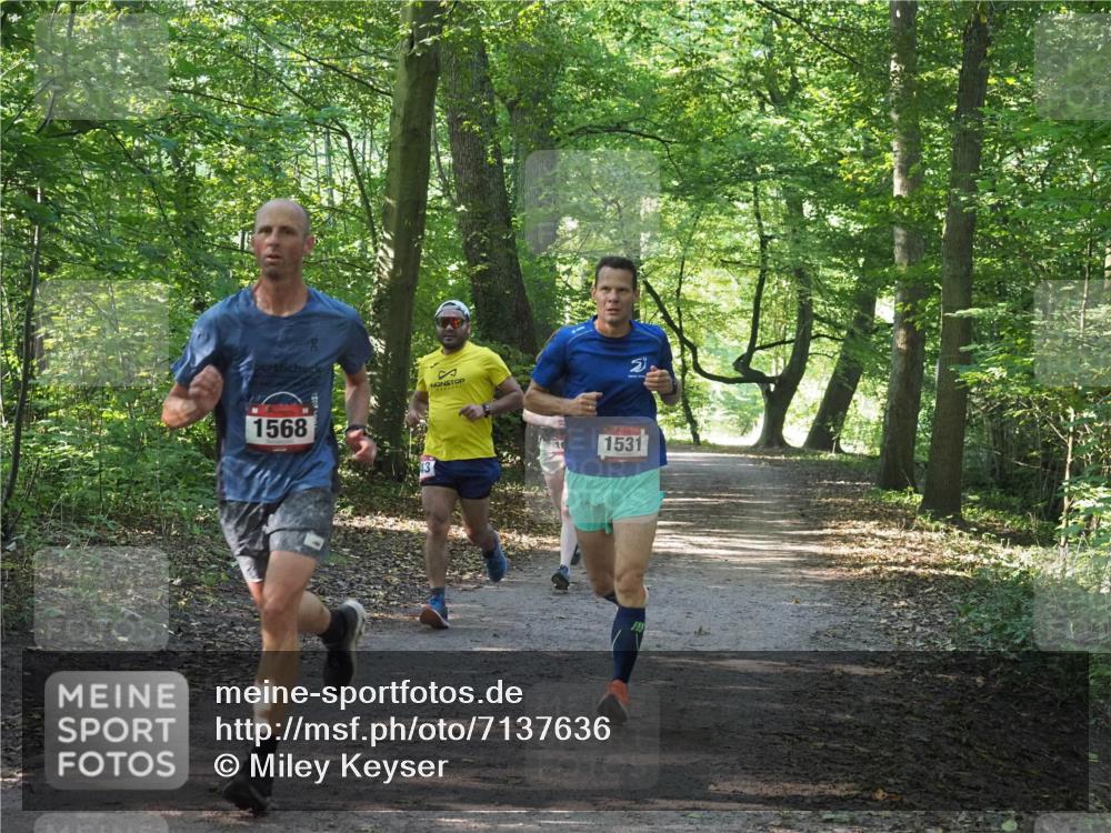 22.09.2024 - 32. Volkslauf durch das schöne Alstertal Miley Keyser http://msf.ph/oto/7137636 22.09.2024 10:18:37 Laufen 1568, 1531 meine-sportfotos.de