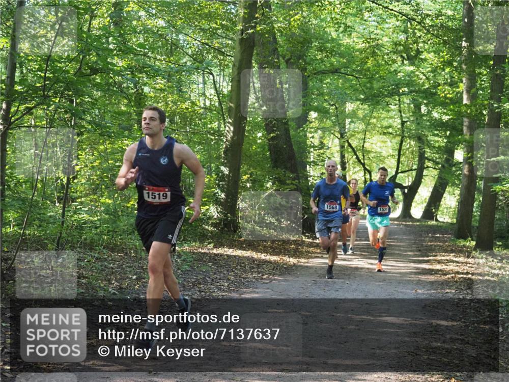 22.09.2024 - 32. Volkslauf durch das schöne Alstertal Miley Keyser http://msf.ph/oto/7137637 22.09.2024 10:18:35 Laufen 1519, 1568, 1531, 2002 meine-sportfotos.de