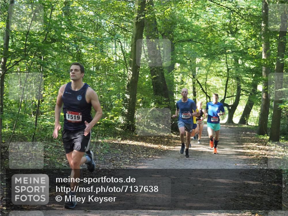 22.09.2024 - 32. Volkslauf durch das schöne Alstertal Miley Keyser http://msf.ph/oto/7137638 22.09.2024 10:18:35 Laufen 1519, 156, 1002, 1531 meine-sportfotos.de