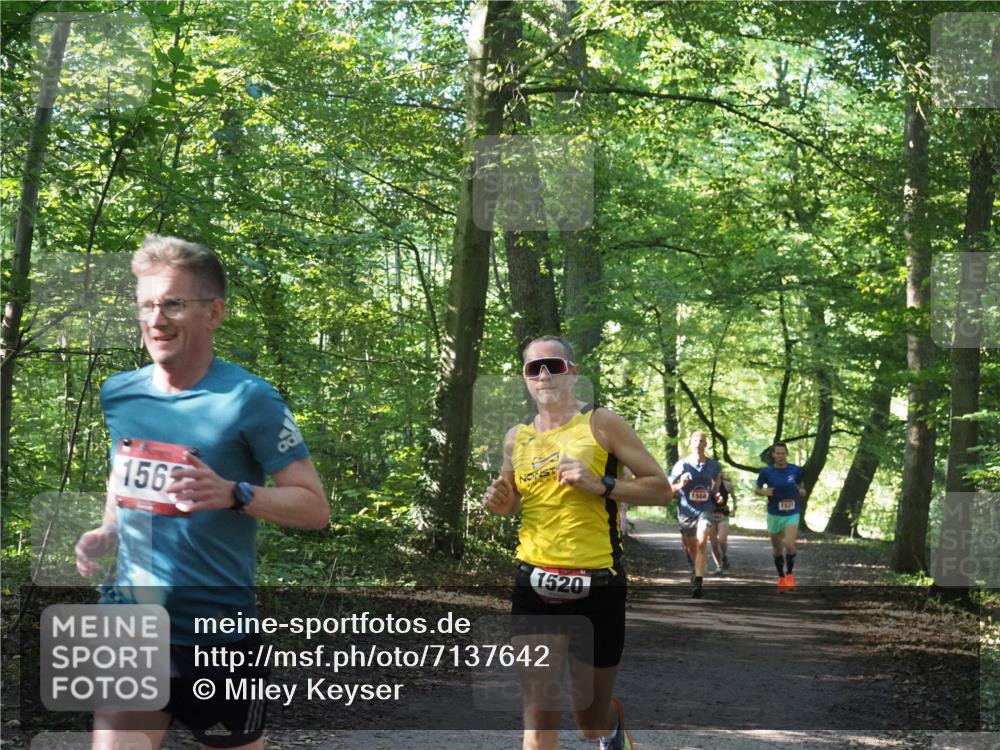 22.09.2024 - 32. Volkslauf durch das schöne Alstertal Miley Keyser http://msf.ph/oto/7137642 22.09.2024 10:18:33 Laufen 1562, 1520, 1568 meine-sportfotos.de