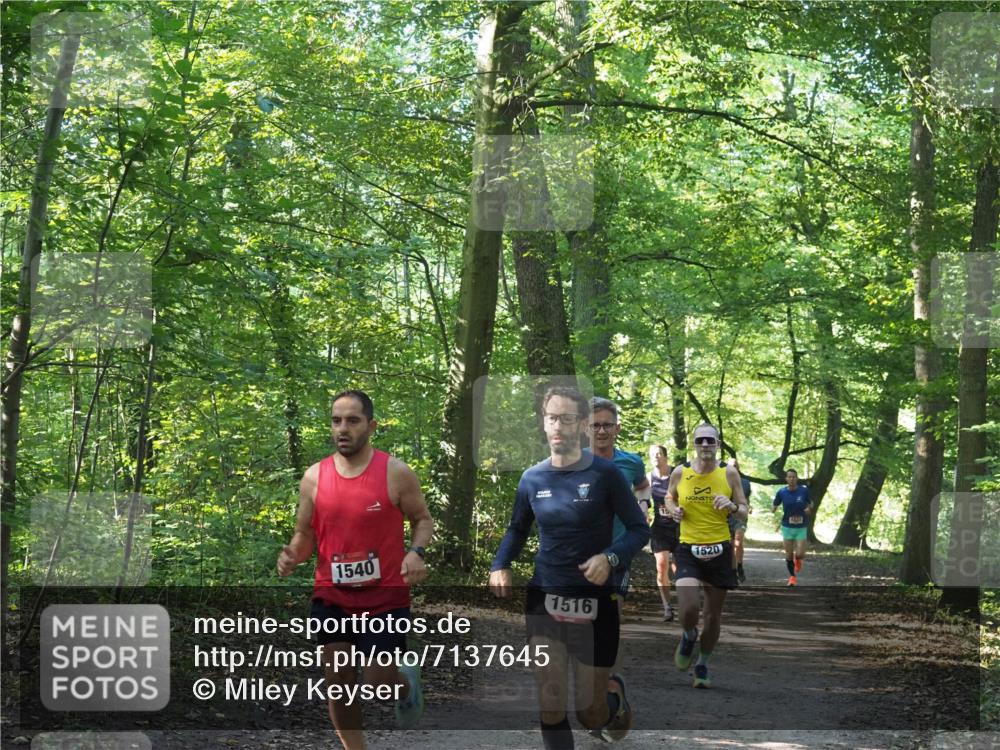 22.09.2024 - 32. Volkslauf durch das schöne Alstertal Miley Keyser http://msf.ph/oto/7137645 22.09.2024 10:18:32 Laufen 1540, 1516, 1531, 1520 meine-sportfotos.de