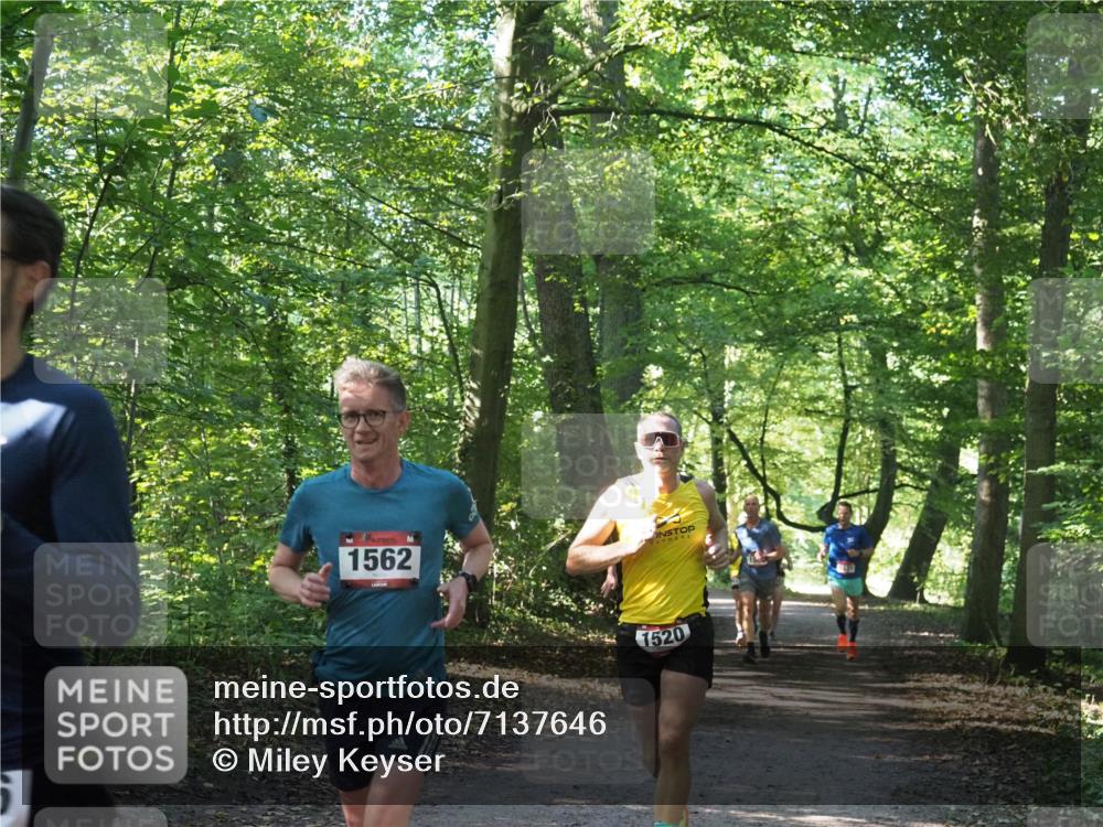 22.09.2024 - 32. Volkslauf durch das schöne Alstertal Miley Keyser http://msf.ph/oto/7137646 22.09.2024 10:18:33 Laufen 1562, 1520 meine-sportfotos.de