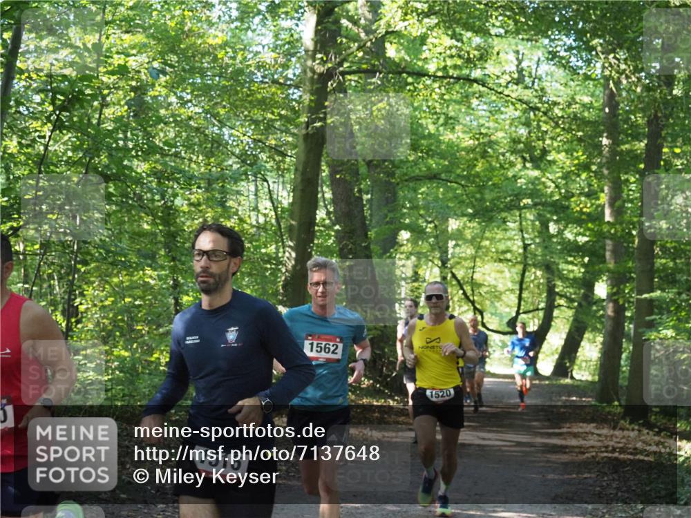 22.09.2024 - 32. Volkslauf durch das schöne Alstertal Miley Keyser http://msf.ph/oto/7137648 22.09.2024 10:18:33 Laufen 1516, 1562, 1520 meine-sportfotos.de