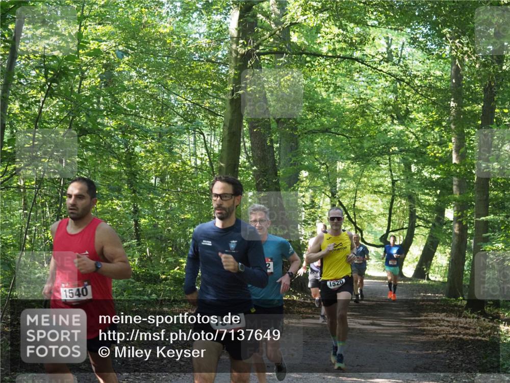 22.09.2024 - 32. Volkslauf durch das schöne Alstertal Miley Keyser http://msf.ph/oto/7137649 22.09.2024 10:18:32 Laufen 1540, 1516, 12, 1520, 1631 meine-sportfotos.de