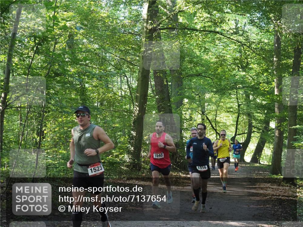 22.09.2024 - 32. Volkslauf durch das schöne Alstertal Miley Keyser http://msf.ph/oto/7137654 22.09.2024 10:18:31 Laufen 1523, 1540, 1516, 1520, 1531 meine-sportfotos.de