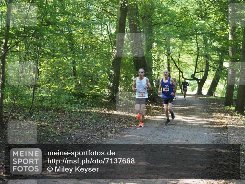 22.09.2024 - 32. Volkslauf durch das schöne Alstertal Miley Keyser http://msf.ph/oto/7137668 22.09.2024 10:18:24 Laufen 1761, 1530 meine-sportfotos.de