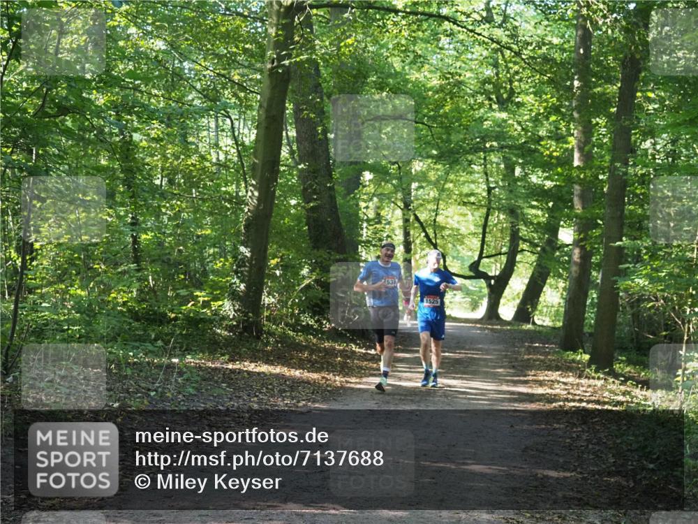 22.09.2024 - 32. Volkslauf durch das schöne Alstertal Miley Keyser http://msf.ph/oto/7137688 22.09.2024 10:18:13 Laufen 1538, 1525 meine-sportfotos.de