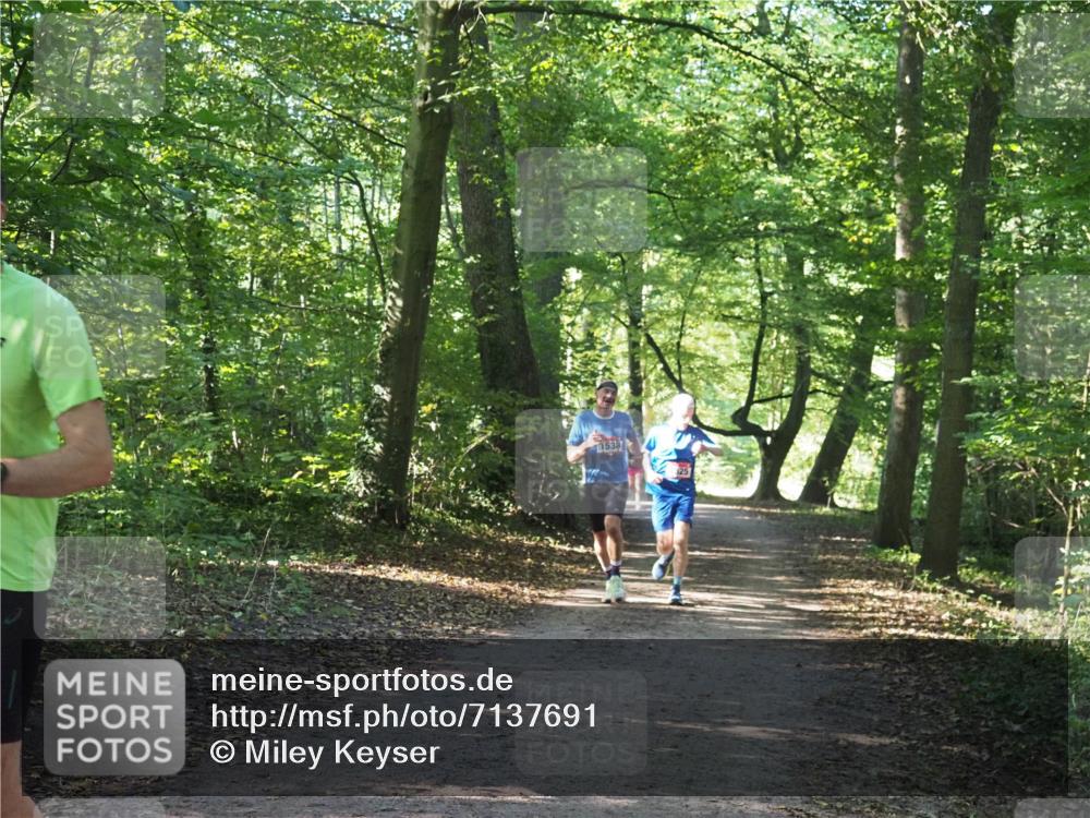 22.09.2024 - 32. Volkslauf durch das schöne Alstertal Miley Keyser http://msf.ph/oto/7137691 22.09.2024 10:18:13 Laufen 525 meine-sportfotos.de