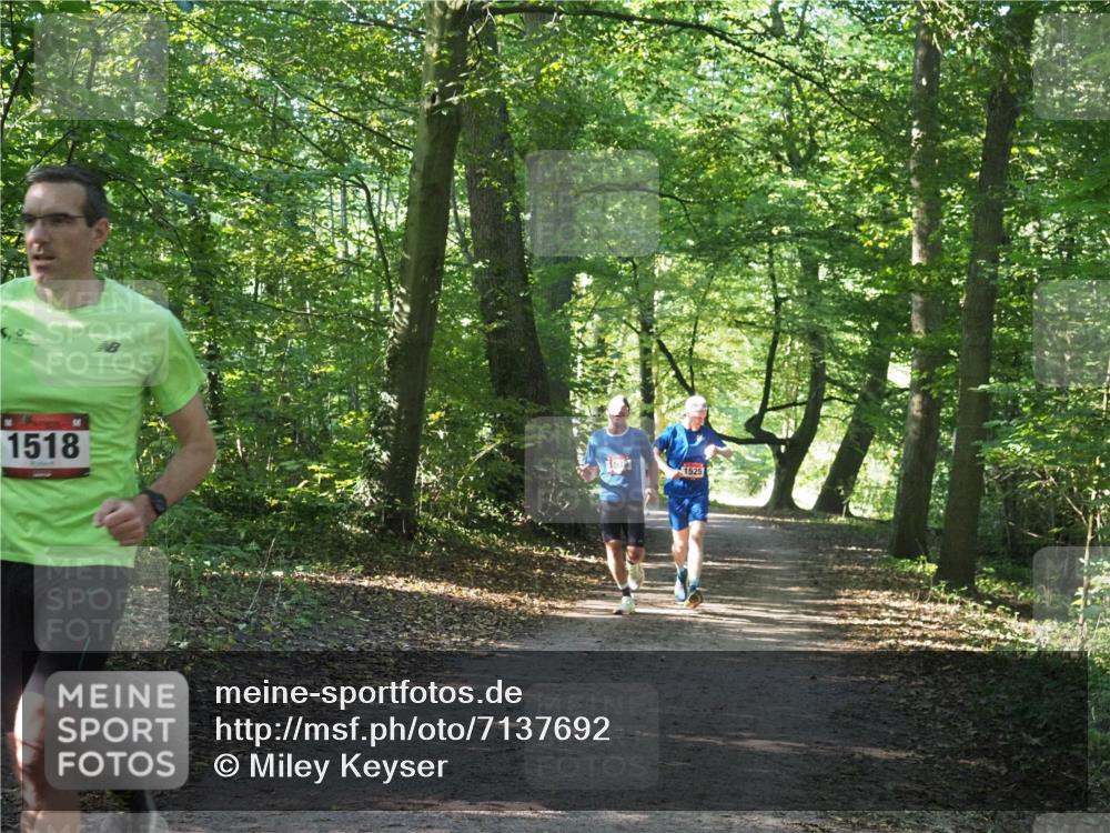 22.09.2024 - 32. Volkslauf durch das schöne Alstertal Miley Keyser http://msf.ph/oto/7137692 22.09.2024 10:18:13 Laufen 1518, 1525 meine-sportfotos.de