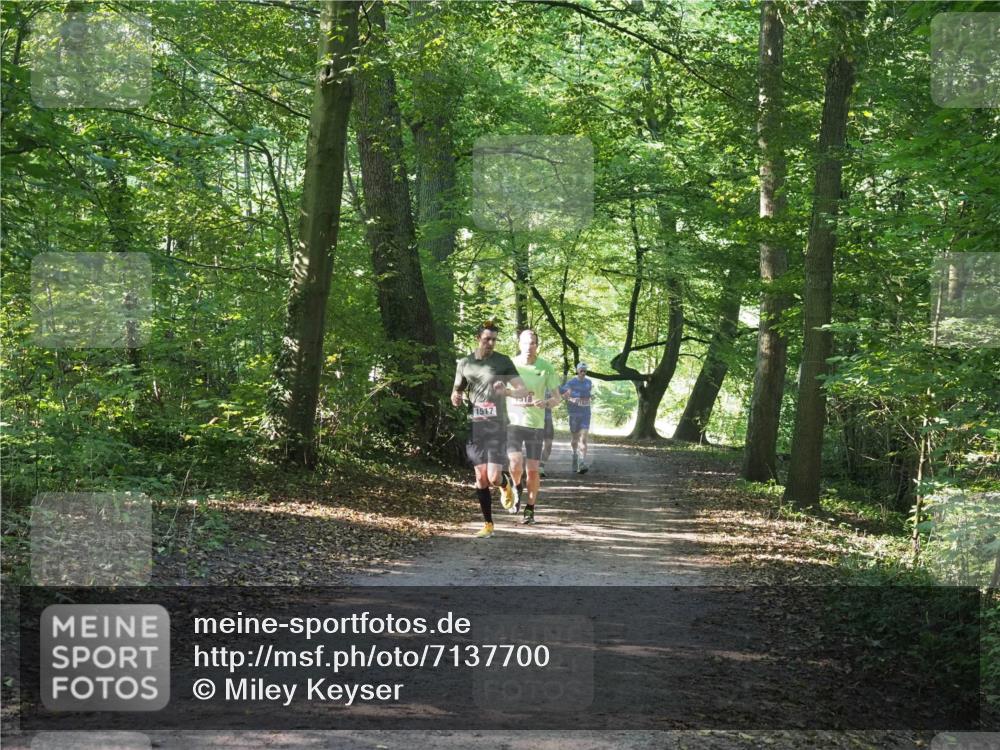 22.09.2024 - 32. Volkslauf durch das schöne Alstertal Miley Keyser http://msf.ph/oto/7137700 22.09.2024 10:18:09 Laufen 518 meine-sportfotos.de