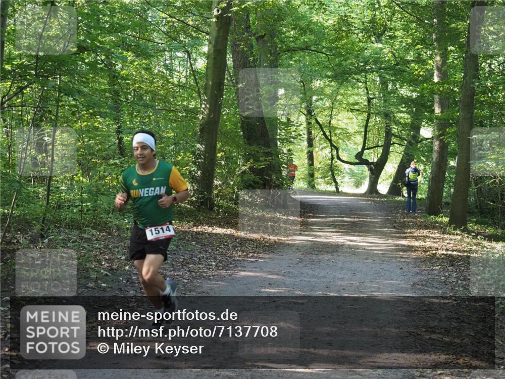22.09.2024 - 32. Volkslauf durch das schöne Alstertal Miley Keyser http://msf.ph/oto/7137708 22.09.2024 10:17:38 Laufen 1514 meine-sportfotos.de