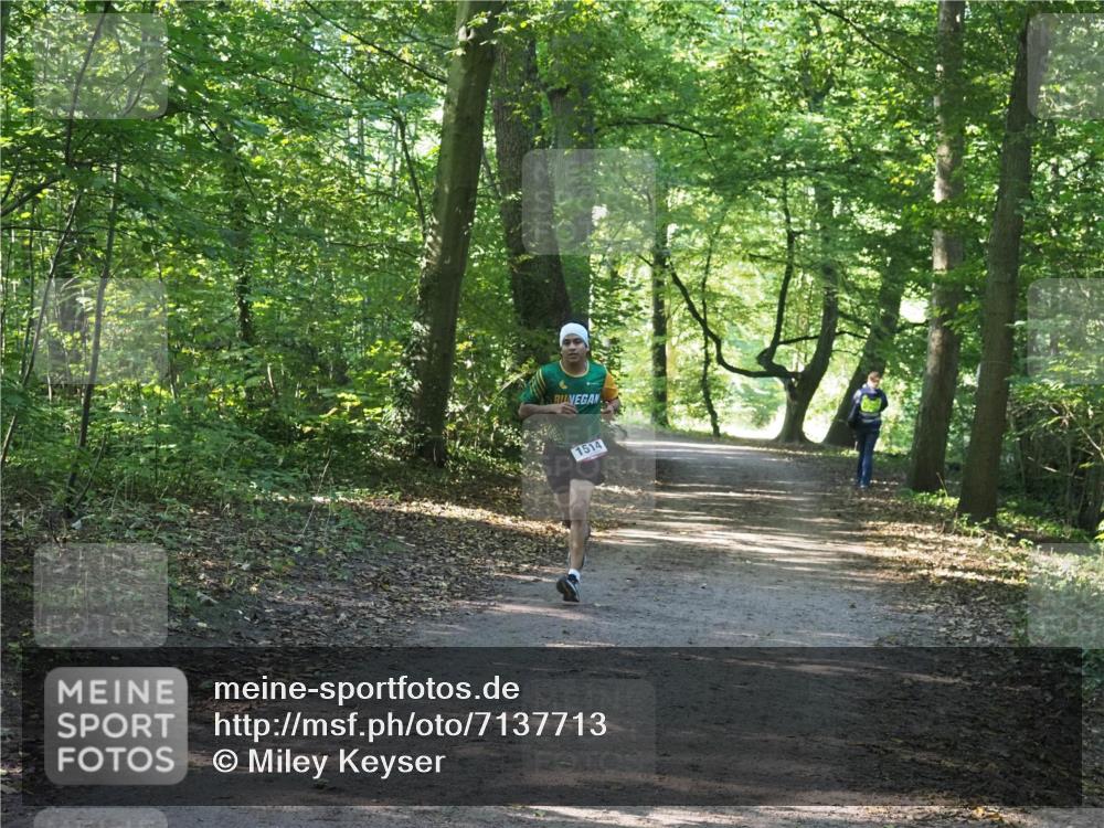 22.09.2024 - 32. Volkslauf durch das schöne Alstertal Miley Keyser http://msf.ph/oto/7137713 22.09.2024 10:17:37 Laufen 1514 meine-sportfotos.de
