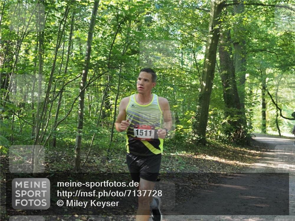 22.09.2024 - 32. Volkslauf durch das schöne Alstertal Miley Keyser http://msf.ph/oto/7137728 22.09.2024 10:16:37 Laufen 1511 meine-sportfotos.de