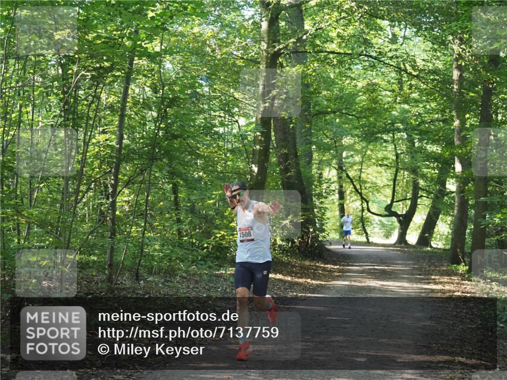 22.09.2024 - 32. Volkslauf durch das schöne Alstertal Miley Keyser http://msf.ph/oto/7137759 22.09.2024 10:15:59 Laufen 1508 meine-sportfotos.de