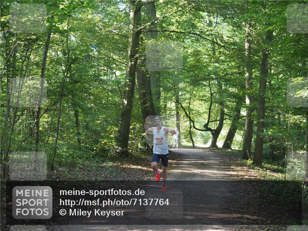 22.09.2024 - 32. Volkslauf durch das schöne Alstertal Miley Keyser http://msf.ph/oto/7137764 22.09.2024 10:15:58 Laufen 1508 meine-sportfotos.de