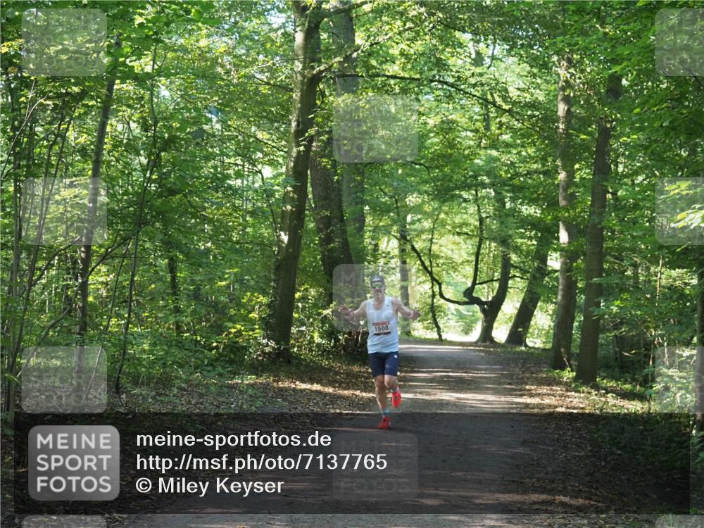 22.09.2024 - 32. Volkslauf durch das schöne Alstertal Miley Keyser http://msf.ph/oto/7137765 22.09.2024 10:15:58 Laufen 1508 meine-sportfotos.de