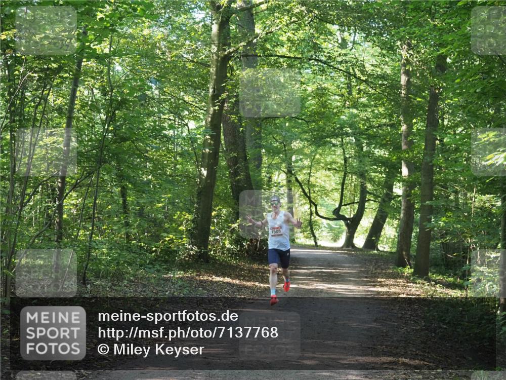 22.09.2024 - 32. Volkslauf durch das schöne Alstertal Miley Keyser http://msf.ph/oto/7137768 22.09.2024 10:15:58 Laufen 1508 meine-sportfotos.de