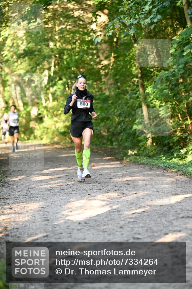 06.10.2024 - Bramfelder Halbmarathon 2024 Dr. Thomas Lammeyer http://msf.ph/oto/7334264 06.10.2024 09:49:37 Laufen 560 meine-sportfotos.de