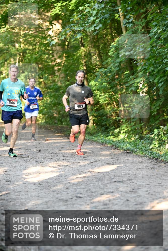 06.10.2024 - Bramfelder Halbmarathon 2024 Dr. Thomas Lammeyer http://msf.ph/oto/7334371 06.10.2024 09:50:10 Laufen 546, 207, 403 meine-sportfotos.de