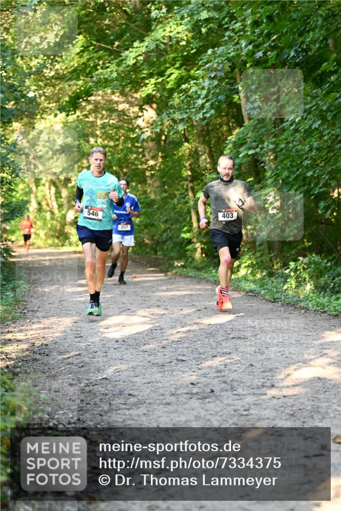 06.10.2024 - Bramfelder Halbmarathon 2024 Dr. Thomas Lammeyer http://msf.ph/oto/7334375 06.10.2024 09:50:11 Laufen 546, 207, 403 meine-sportfotos.de